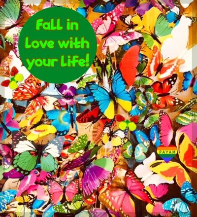./Butterfly_love400_1789932217217